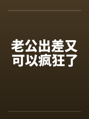老公出差又可以疯狂了封面