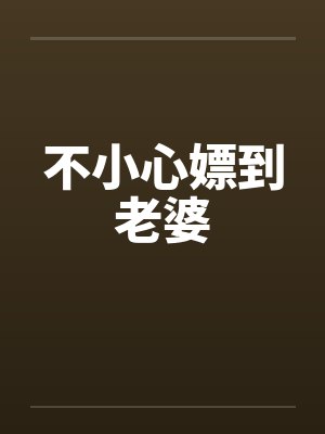不小心嫖到老婆笔趣阁无弹窗封面