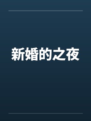 新婚的之夜笔趣阁无弹窗封面