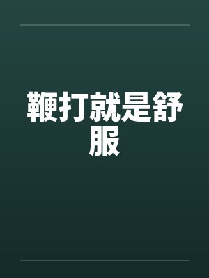 鞭打就是舒服封面