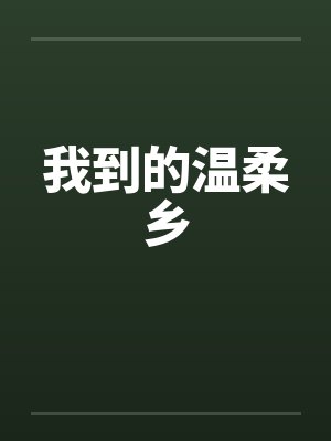 我到的温柔乡封面