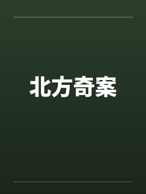 北方奇案by佚名封面
