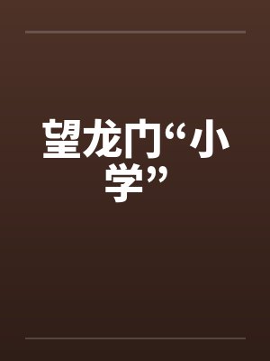 望龙门“小学”笔趣阁无弹窗封面