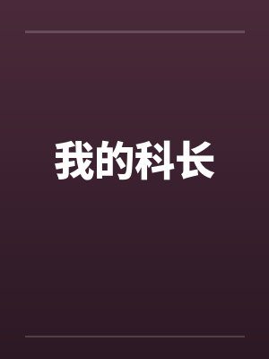 我的科长封面