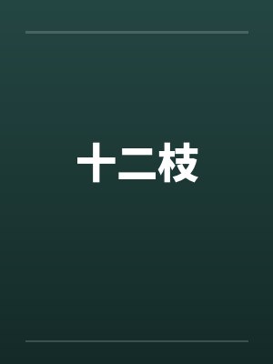 十二枝by佚名笔趣阁无弹窗封面