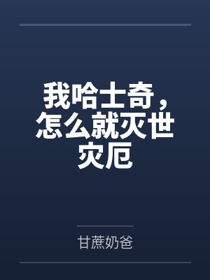 美漫里的恶魔果实小说封面