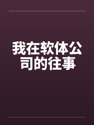 我在软体公司的往事笔趣阁无弹窗封面