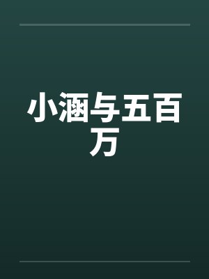 小涵与五百万封面