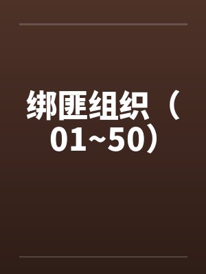 绑匪组织（01~50）笔趣阁无弹窗封面