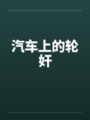 汽车上的轮奸笔趣阁无弹窗封面