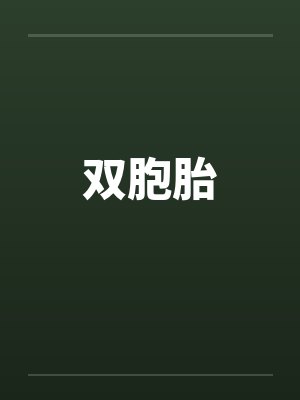 双胞胎by佚名封面