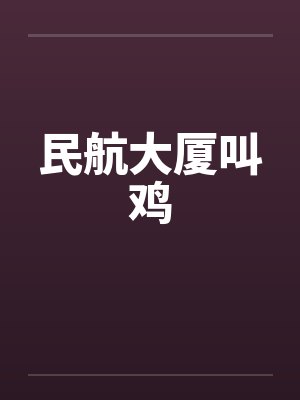 民航大厦叫鸡by佚名笔趣阁无弹窗封面