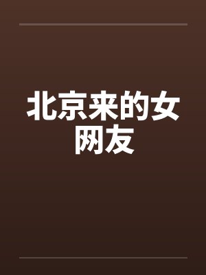 北京来的女网友封面