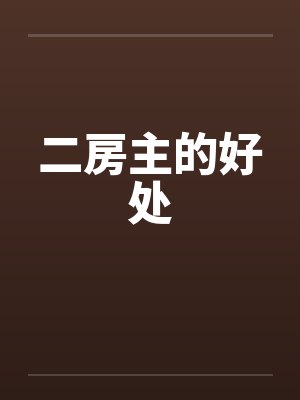 二房主的好处封面