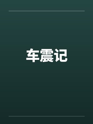 车震记封面