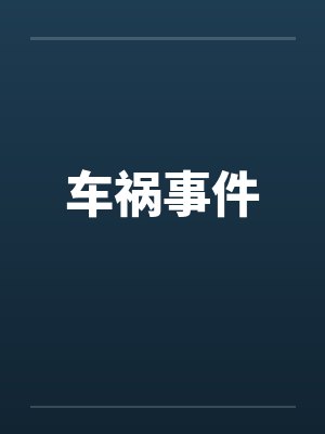 车祸事件笔趣阁无弹窗封面