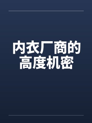 内衣厂商的高度机密by佚名笔趣阁无弹窗封面