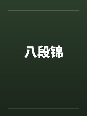 八段锦免费阅读全文无弹窗封面