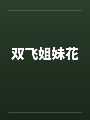 双飞姐妹花by佚名笔趣阁无弹窗封面