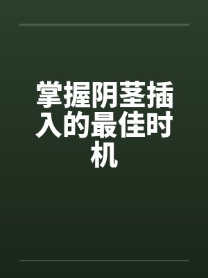 掌握阴茎插入的最佳时机by佚名笔趣阁无弹窗封面