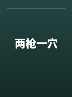两枪一穴封面
