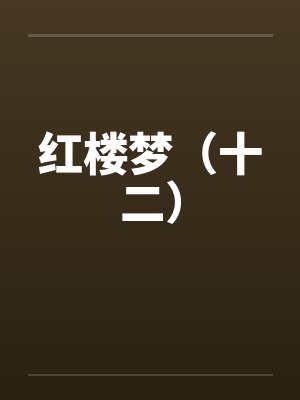 红楼梦（十二）封面