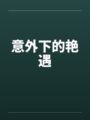 意外下的艳遇笔趣阁无弹窗封面