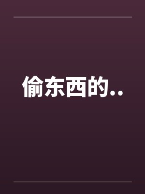 偷东西的..封面
