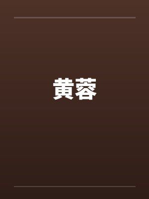 黄蓉by佚名封面