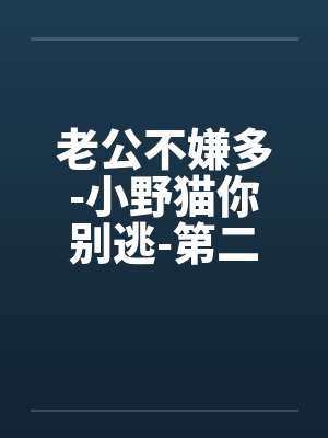老公不嫌多-小野猫你别逃-第二部 混乱的同居生活 100.没有结果的争论by佚名笔趣阁无弹窗封面