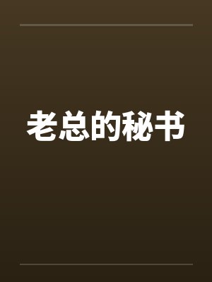 老总的秘书封面