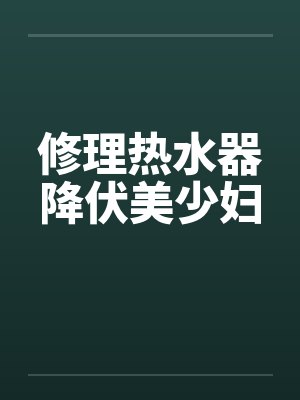 修理热水器降伏美少妇by佚名笔趣阁无弹窗封面