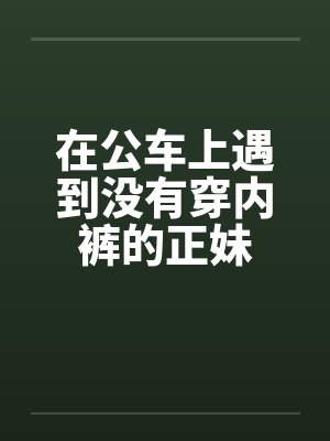 在公车上遇到没有穿内裤的正妹笔趣阁无弹窗封面