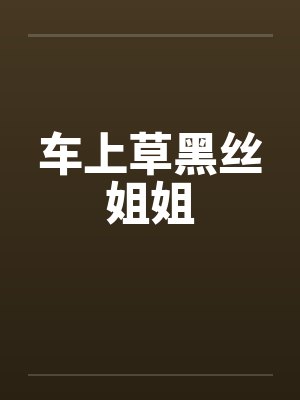 车上草黑丝姐姐封面
