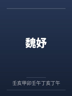 魏妤by壬亥甲卯壬午丁亥丁午封面