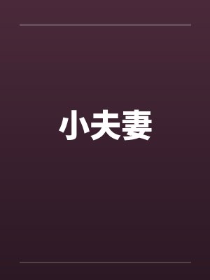 小夫妻by佚名笔趣阁无弹窗封面