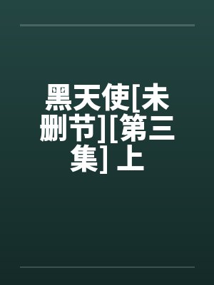 黑天使全集封面