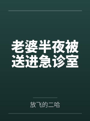 都市鉴宝天王by林枫百度云封面