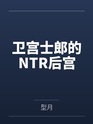 卫宫士郎 小说封面