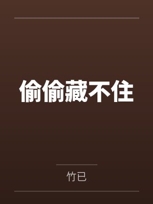 偷偷藏不住封面