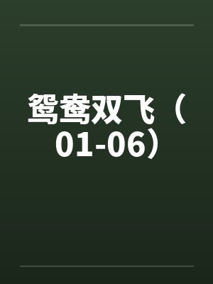 鸳鸯双飞（01-06）by佚名笔趣阁无弹窗封面