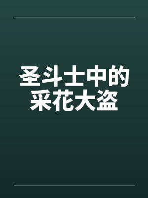 圣斗士中的采花大盗by佚名封面
