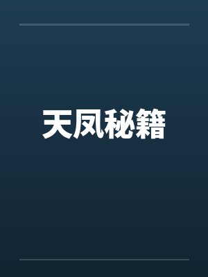 天凤秘籍封面