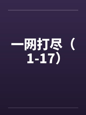 一网打尽（1-17）by佚名封面