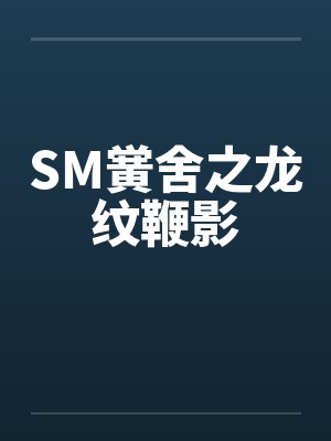 SM黉舍之龙纹鞭影笔趣阁无弹窗封面