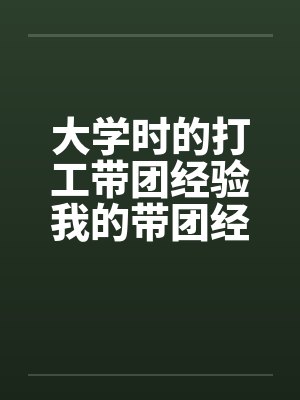 大学时的打工带团经验我的带团经验笔趣阁无弹窗封面