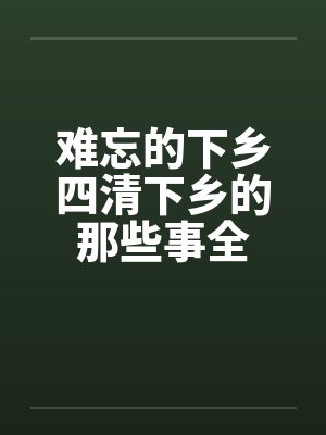 难忘的下乡四清下乡的那些事全by佚名封面
