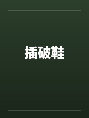 插破鞋封面