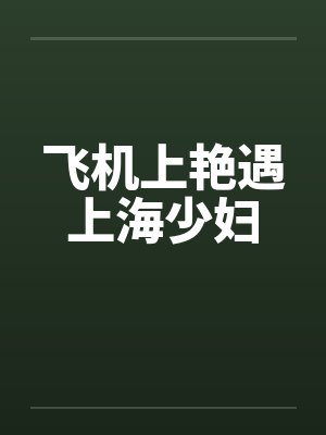 飞机上艳遇上海少妇笔趣阁无弹窗封面