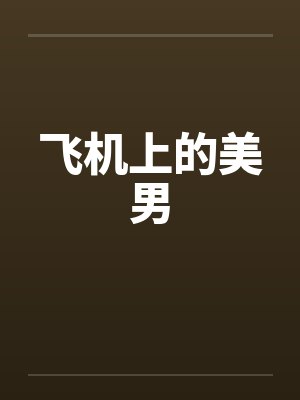 飞机上的美男笔趣阁无弹窗封面